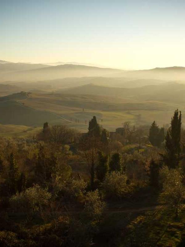 Casual everyday wear